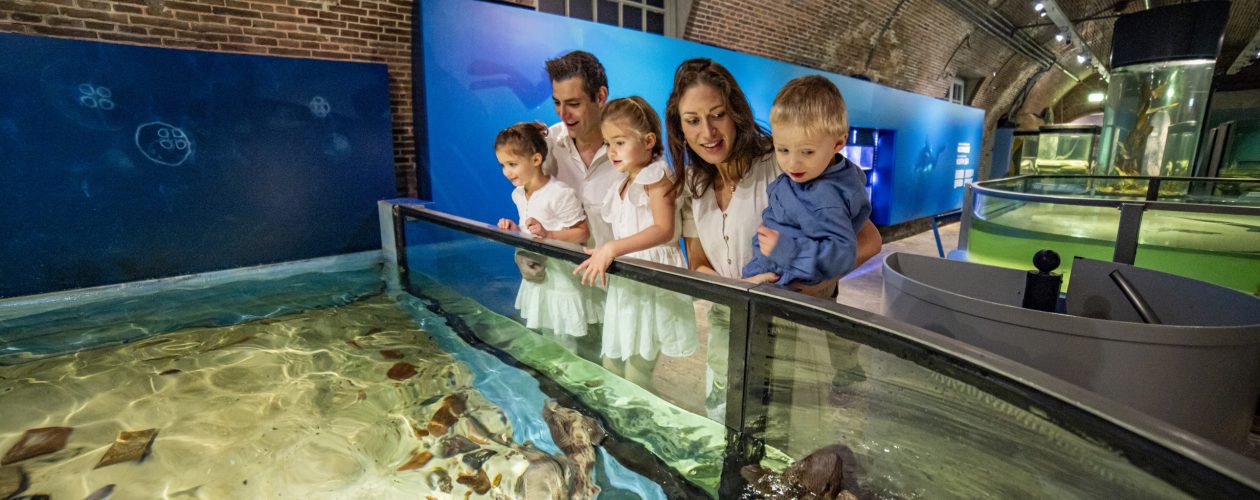 Leer alles over de dieren van de zee tijdens de voorjaarsvakantie!